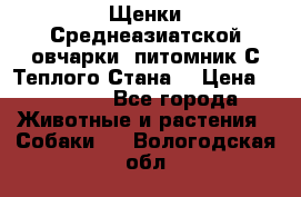 Щенки Среднеазиатской овчарки (питомник С Теплого Стана) › Цена ­ 20 000 - Все города Животные и растения » Собаки   . Вологодская обл.